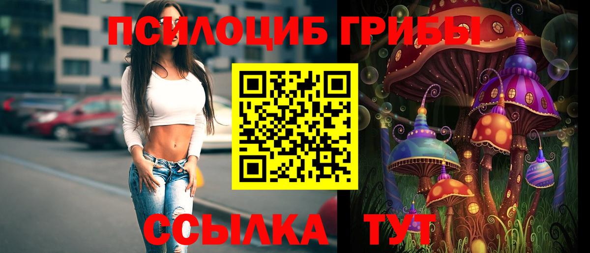 Псилоцибиновые грибы Psilocybe Алатырь